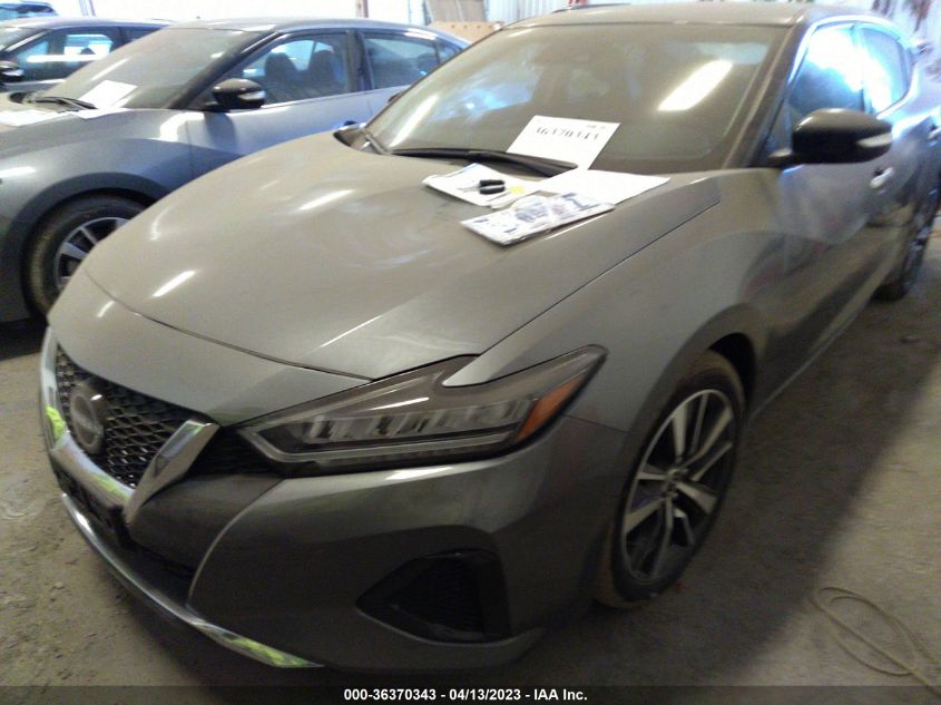 2023 NISSAN MAXIMA SV - 1N4AA6CV8PC507481