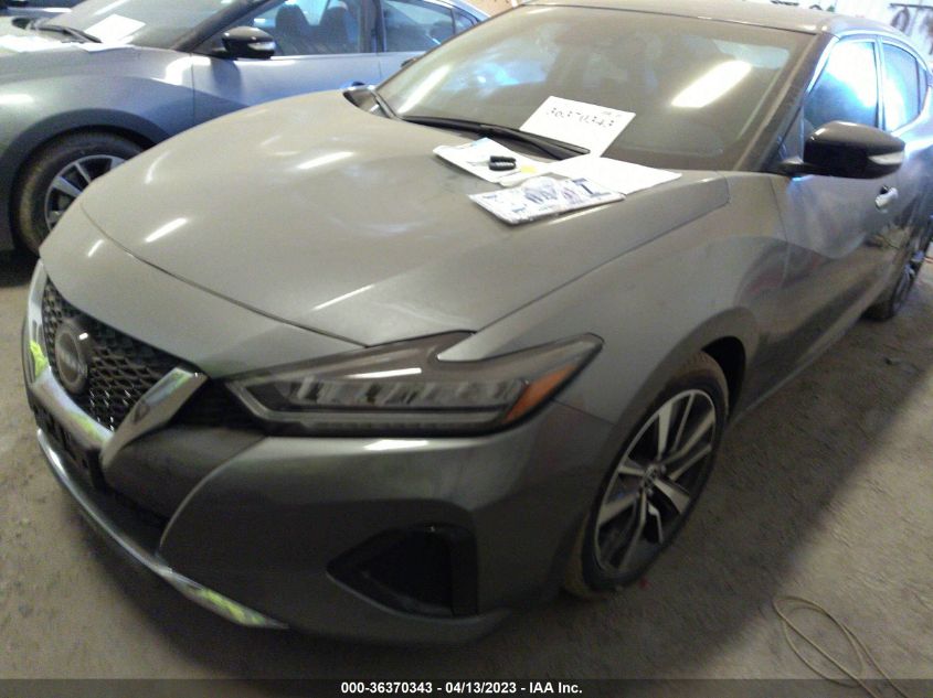 2023 NISSAN MAXIMA SV - 1N4AA6CV8PC507481