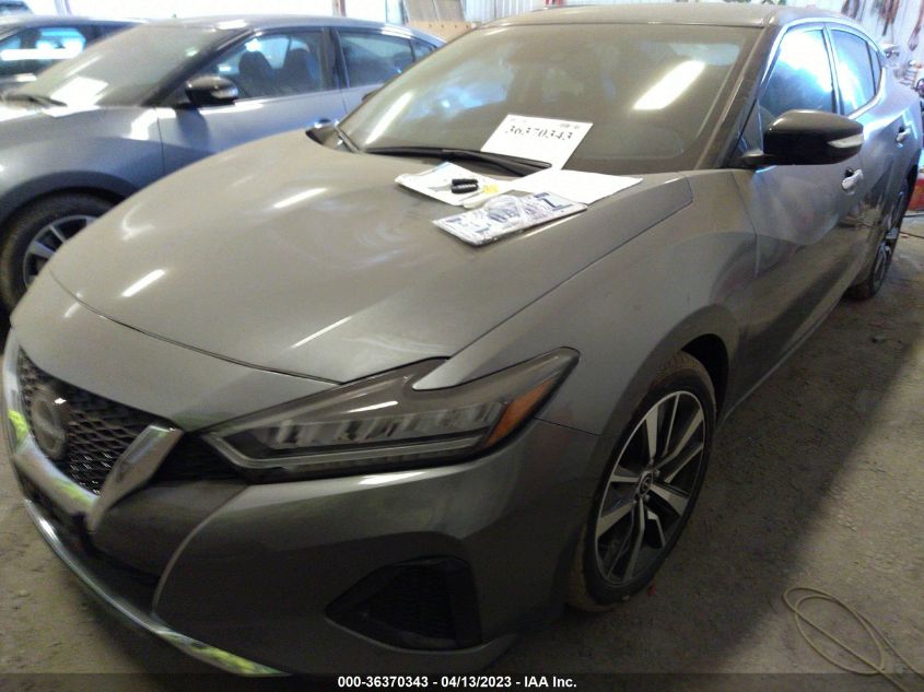 2023 NISSAN MAXIMA SV - 1N4AA6CV8PC507481
