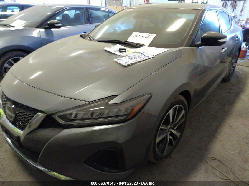 2023 NISSAN MAXIMA SV - 1N4AA6CV8PC507481