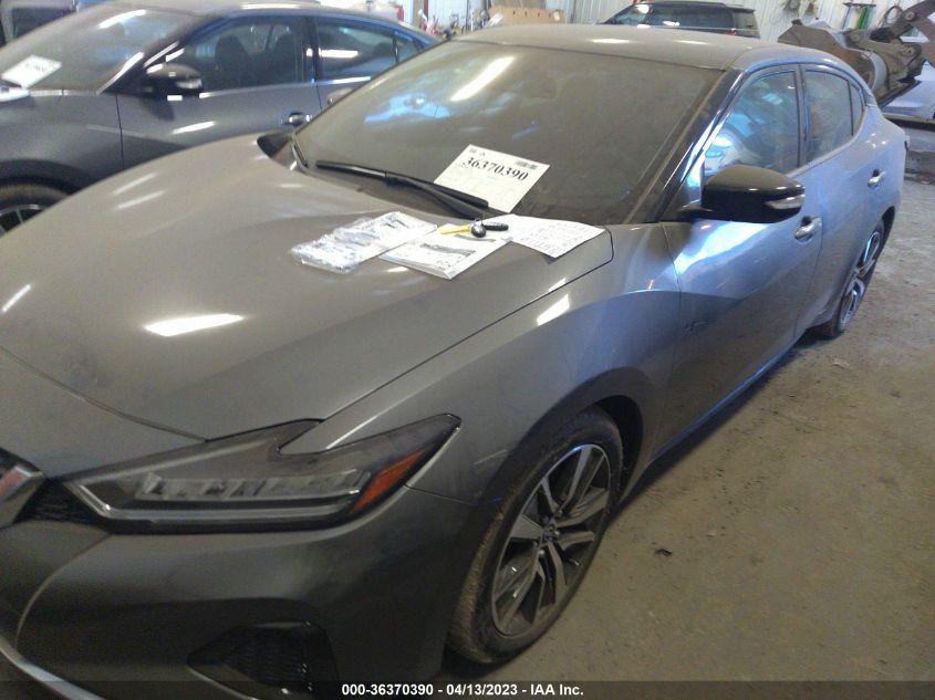 2023 NISSAN MAXIMA SV - 1N4AA6CV0PC507443