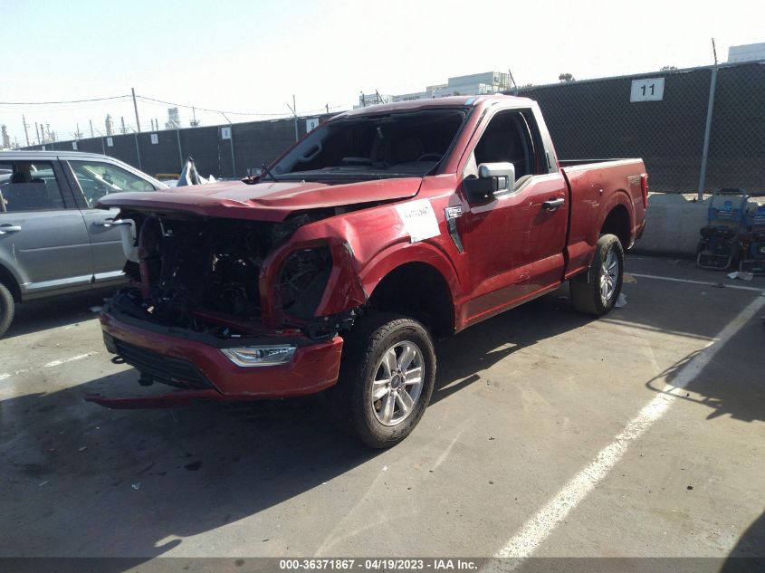2021 FORD F-150 XL/XLT - 1FTMF1E53MKD87518