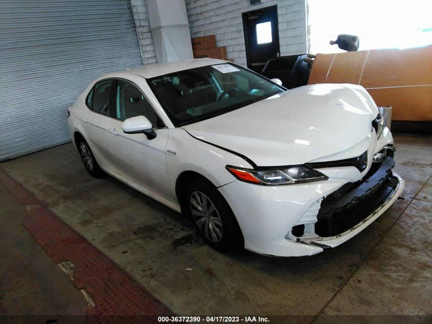 2019 TOYOTA CAMRY HYBRID - 4T1B31HKXKU516806