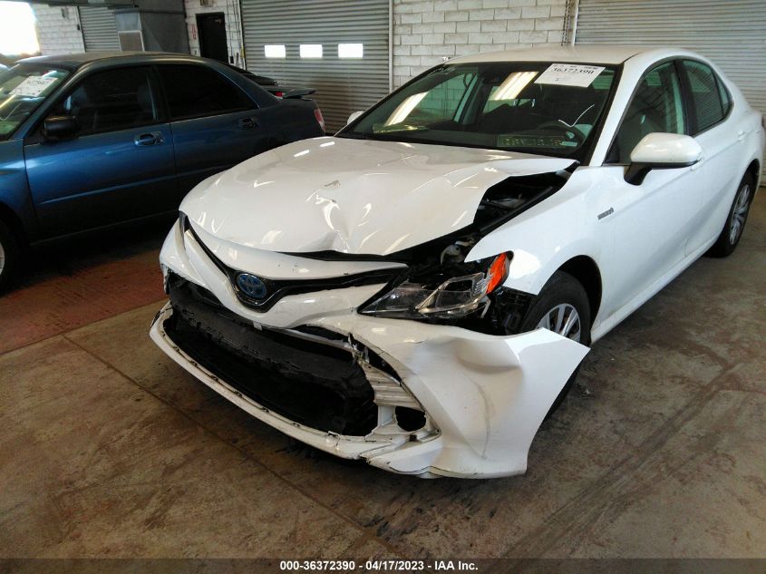 2019 TOYOTA CAMRY HYBRID - 4T1B31HKXKU516806