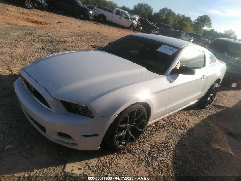 2014 FORD MUSTANG V6 - 1ZVBP8AM0E5328725