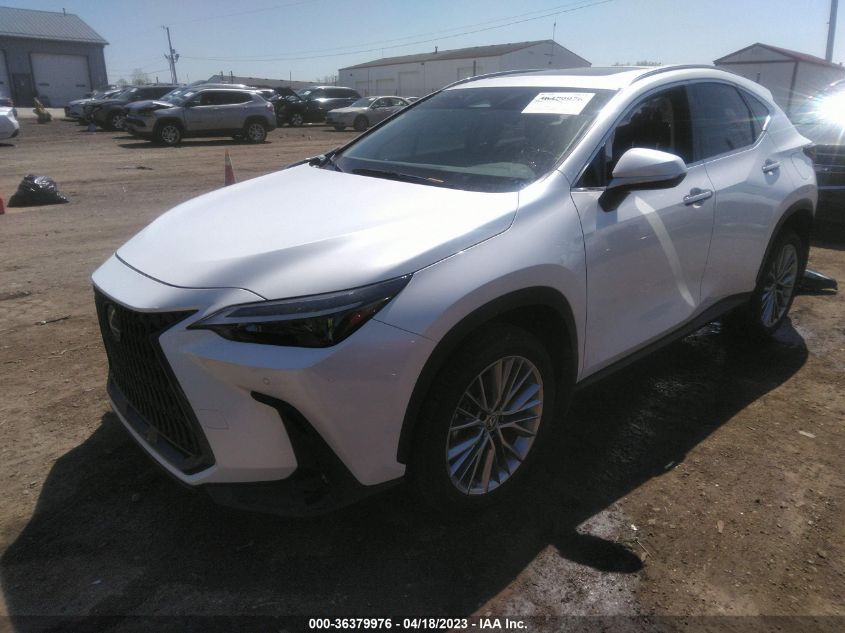 2022 LEXUS NX NX 350H PREMIUM - JTJGKCEZXN2009413