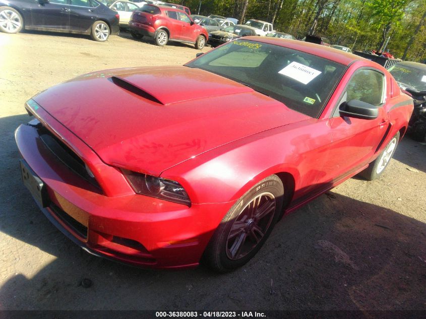2013 FORD MUSTANG V6 - 1ZVBP8AM2D5278201