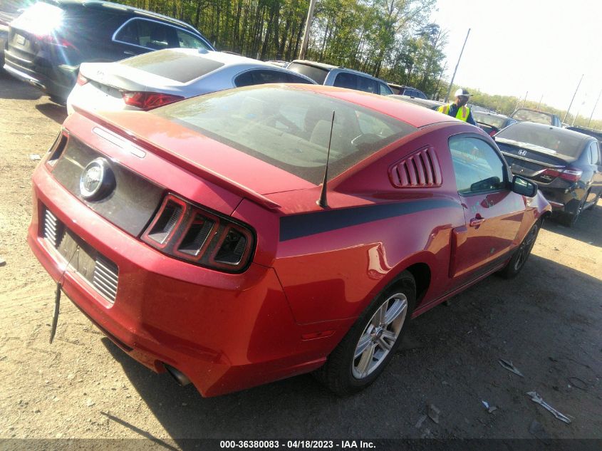 2013 FORD MUSTANG V6 - 1ZVBP8AM2D5278201