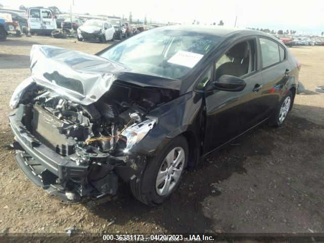 2015 KIA FORTE LX - KNAFK4A61F5278493