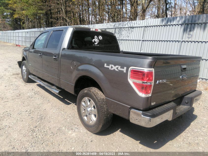 2013 FORD F-150 XL/XLT/FX4/LARIAT - 1FTFW1ET7DFC31062