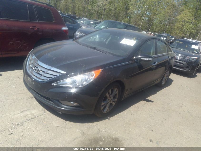 2013 HYUNDAI SONATA LIMITED - 5NPEC4ACXDH518655