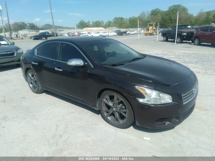 2013 NISSAN MAXIMA 3.5 SV - 1N4AA5AP6DC844693