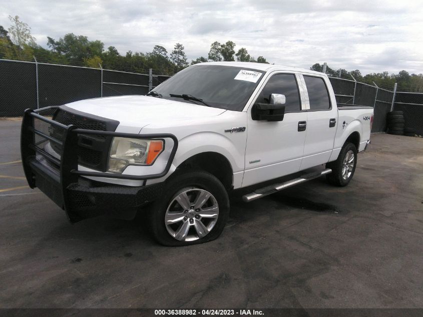 2013 FORD F-150 XL/XLT/FX4/LARIAT - 1FTFW1ET5DFA31846