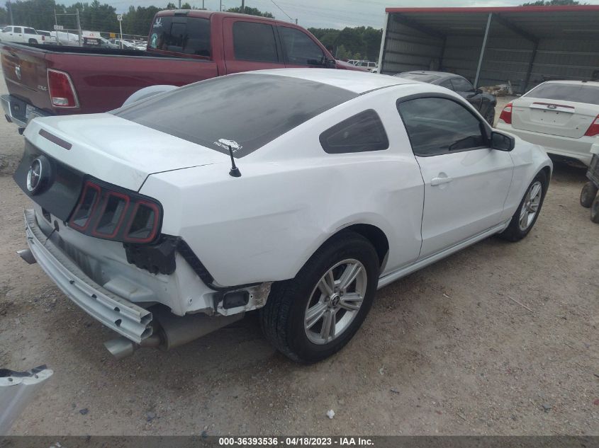 2014 FORD MUSTANG V6 - 1ZVBP8AM8E5239596