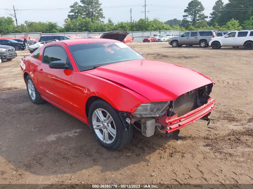 2014 FORD MUSTANG V6 - 1ZVBP8AMXE5315917