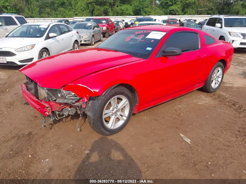 2014 FORD MUSTANG V6 - 1ZVBP8AMXE5315917