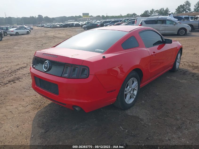 2014 FORD MUSTANG V6 - 1ZVBP8AMXE5315917