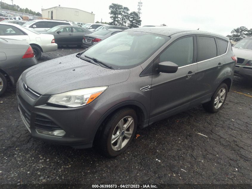 VIN 1FMCU0GX6DUB88716 2013 FORD ESCAPE no.2