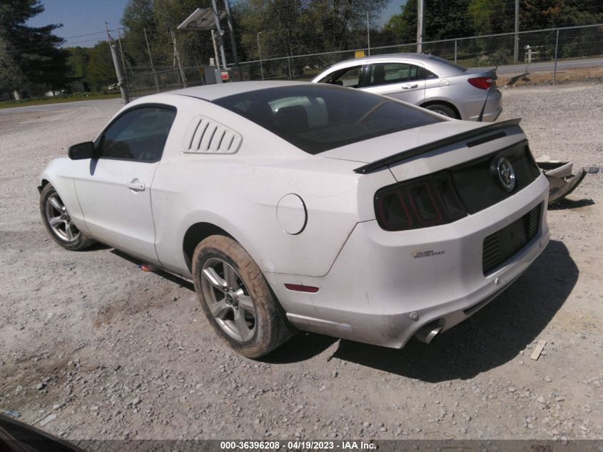 2014 FORD MUSTANG V6 - 1ZVBP8AMXE5316338