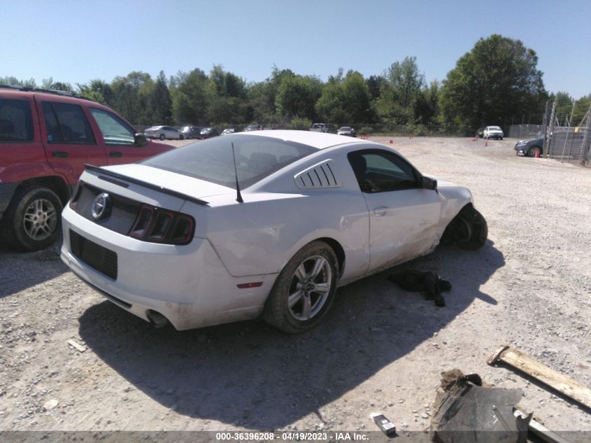 2014 FORD MUSTANG V6 - 1ZVBP8AMXE5316338