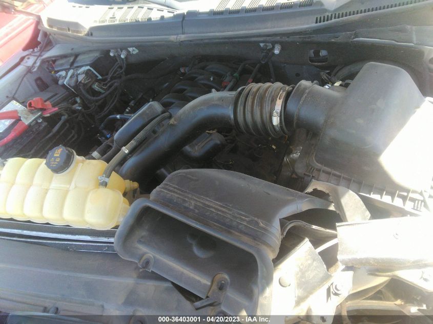 2020 FORD F-150 XL/XLT - 1FTMF1C59LKE09409
