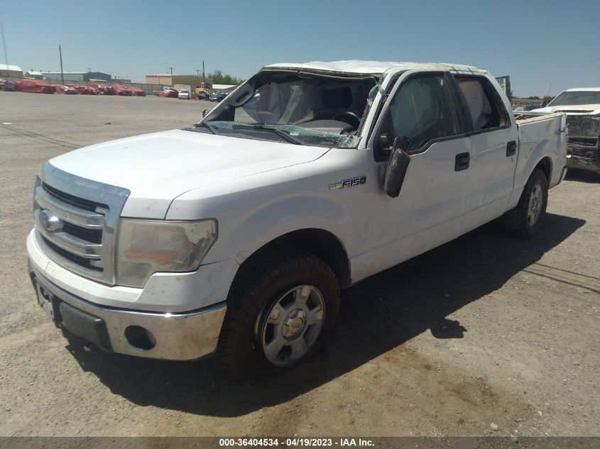 2013 FORD F-150 XL/XLT/FX4/LARIAT - 1FTFW1EF6DFB84780