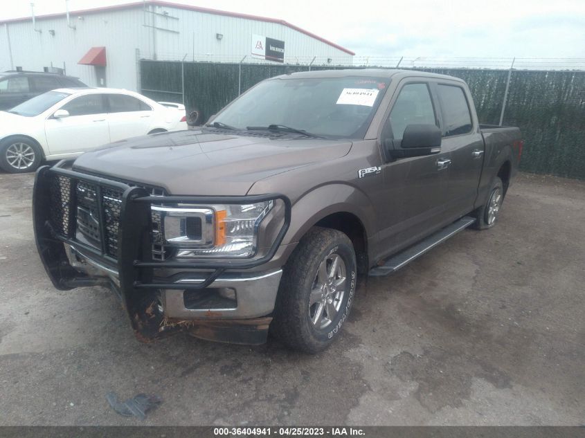 2019 FORD F-150 XL/XLT/LARIAT - 1FTFW1E48KKE15021