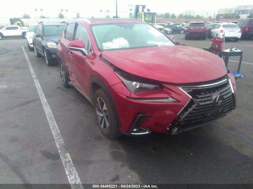 2021 LEXUS NX NX 300H - JTJGJRDZ0M2161254