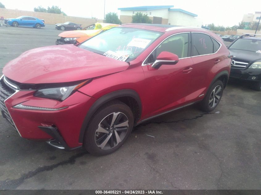 2021 LEXUS NX NX 300H - JTJGJRDZ0M2161254