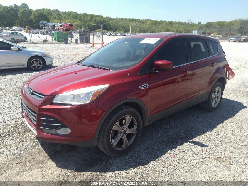 2014 FORD ESCAPE SE - 1FMCU0GX5EUB38813