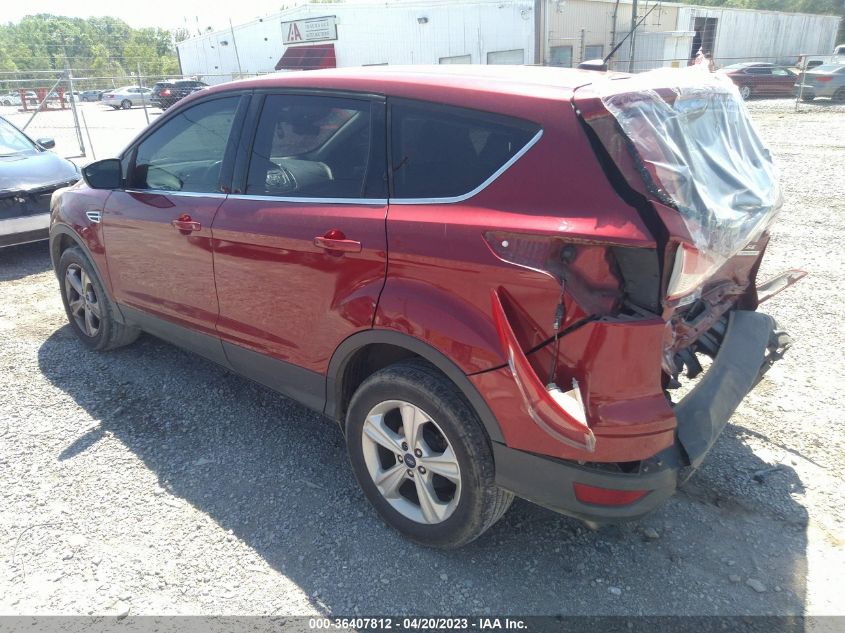 2014 FORD ESCAPE SE - 1FMCU0GX5EUB38813