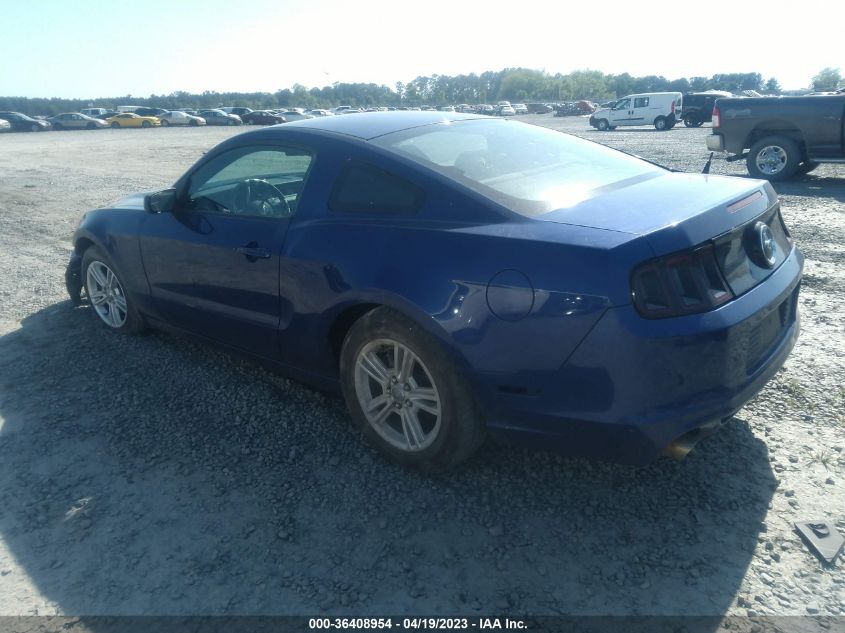 2014 FORD MUSTANG V6 - 1ZVBP8AM3E5333059