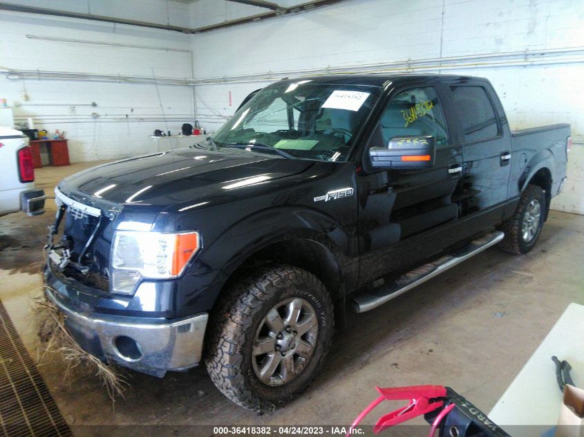 2013 FORD F-150 XL/XLT/FX4/LARIAT - 1FTFW1EF4DKD54318