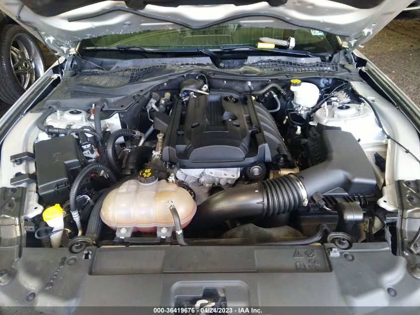 2019 FORD MUSTANG ECOBOOST - 1FA6P8THXK5188656
