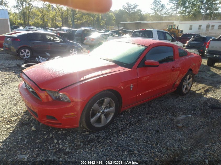 2013 FORD MUSTANG V6 - 1ZVBP8AM5D5218543