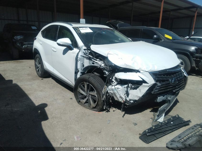 2019 LEXUS NX NX 300 - JTJYARBZ4K2154103