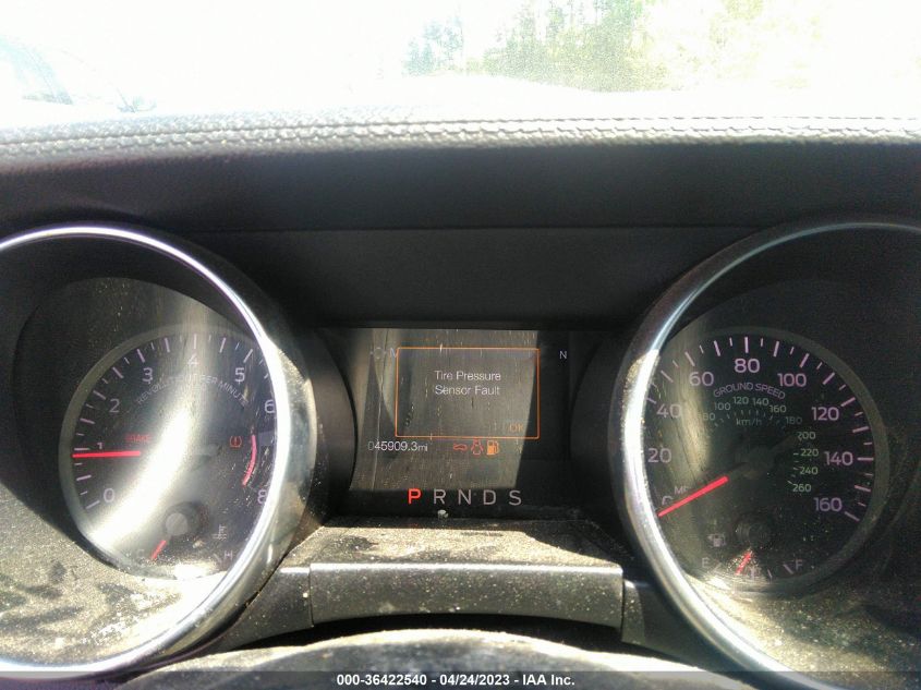 2021 FORD MUSTANG ECOBOOST - 1FATP8UH6M5103784