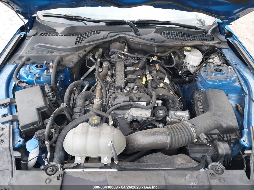 VIN 1FA6P8TH8M5137966 2021 FORD MUSTANG ECOBOOST