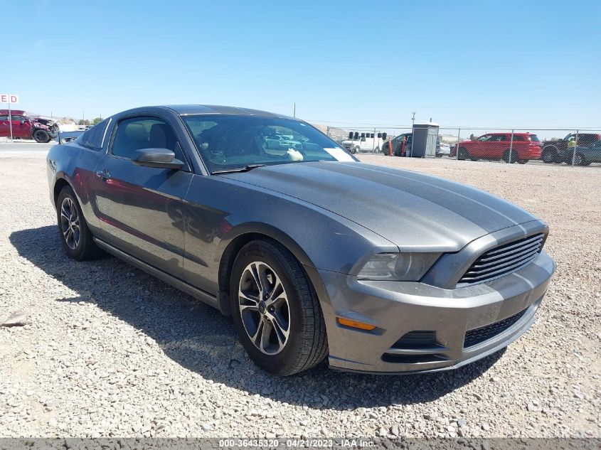 2013 FORD MUSTANG V6 - 1ZVBP8AM8D5245171