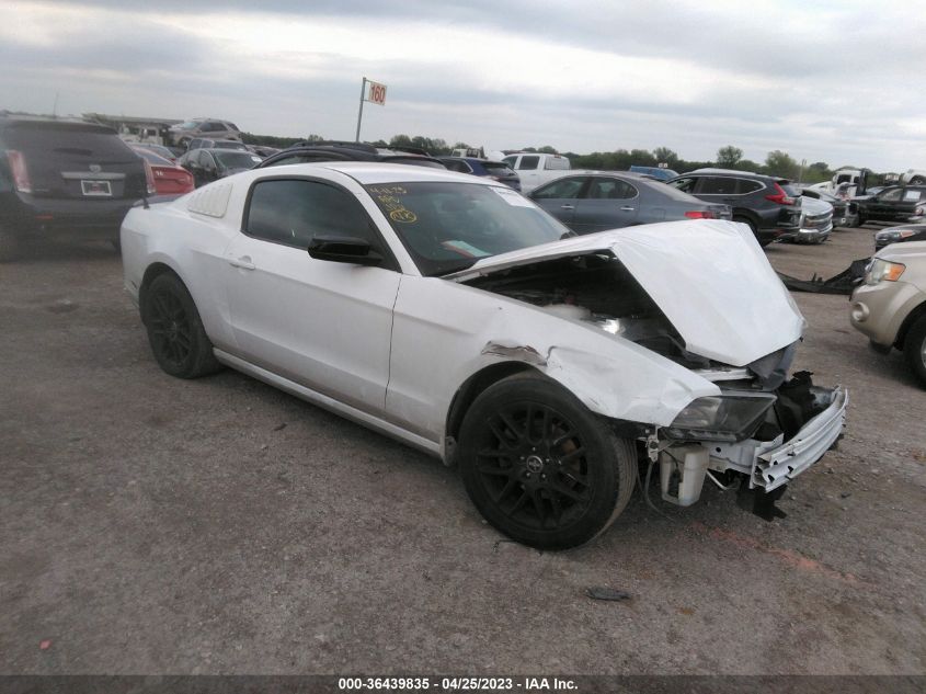 2014 FORD MUSTANG V6 - 1ZVBP8AM9E5251305