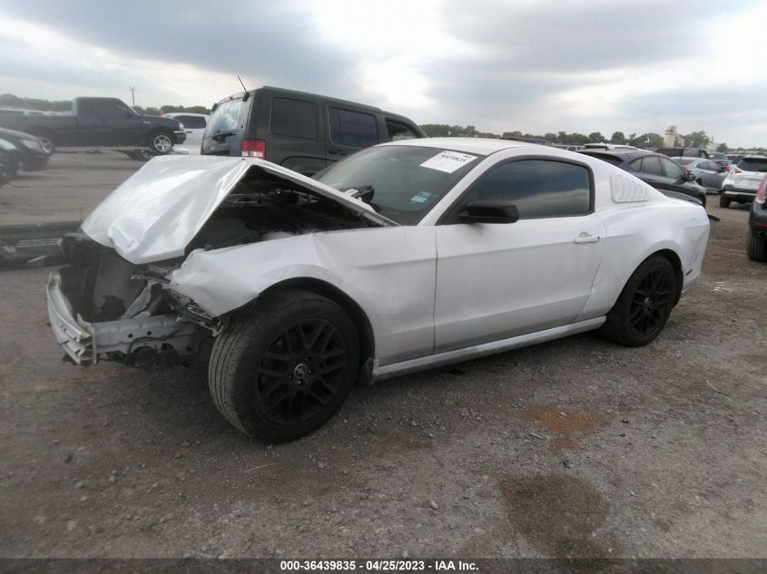 2014 FORD MUSTANG V6 - 1ZVBP8AM9E5251305