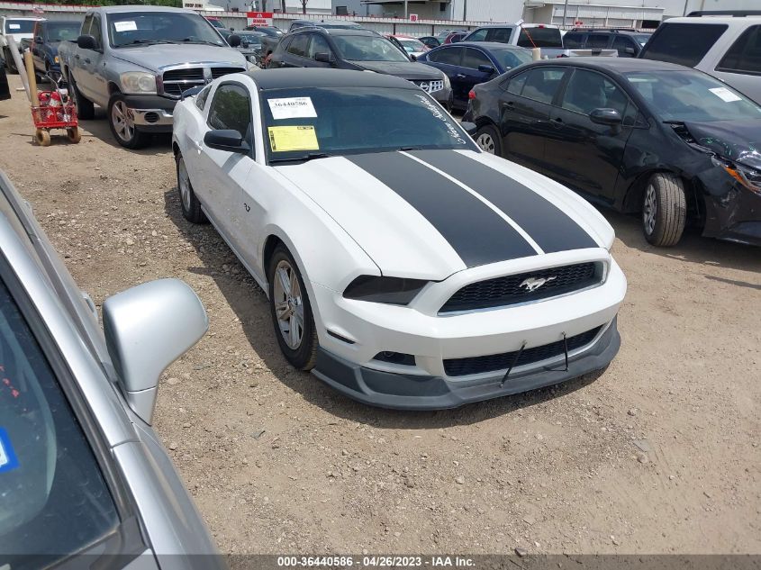 2014 FORD MUSTANG V6 - 1ZVBP8AMXE5239583