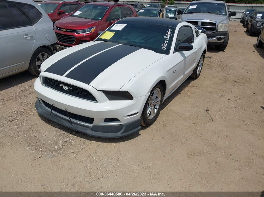 2014 FORD MUSTANG V6 - 1ZVBP8AMXE5239583