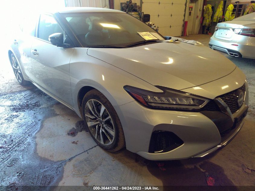 2023 NISSAN MAXIMA SV - 1N4AA6CV3PC508070