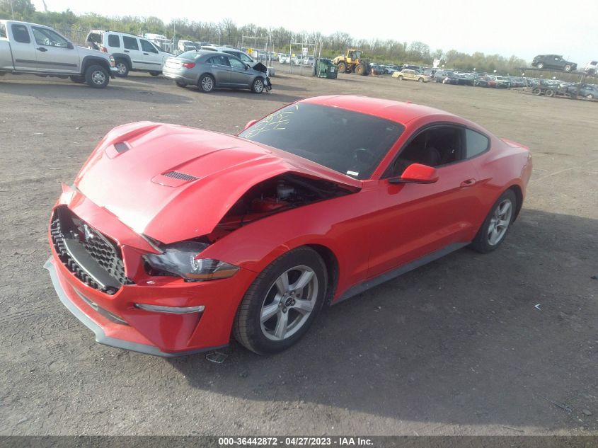 2019 FORD MUSTANG ECOBOOST - 1FA6P8TH4K5167236