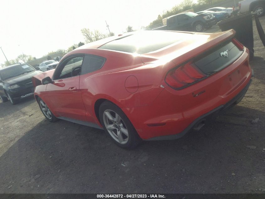 2019 FORD MUSTANG ECOBOOST - 1FA6P8TH4K5167236