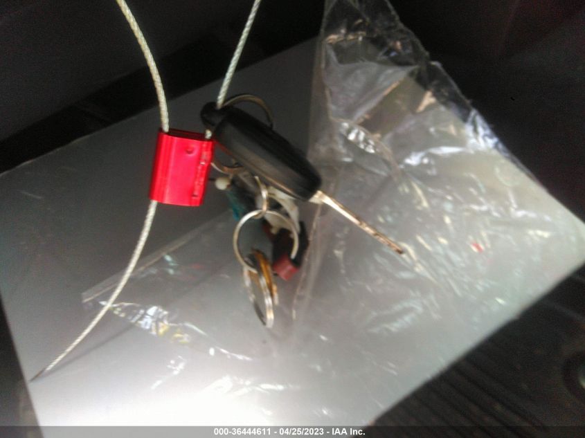 2021 TOYOTA TUNDRA 2WD SR/SR5 - 5TFRY5F12MX290249