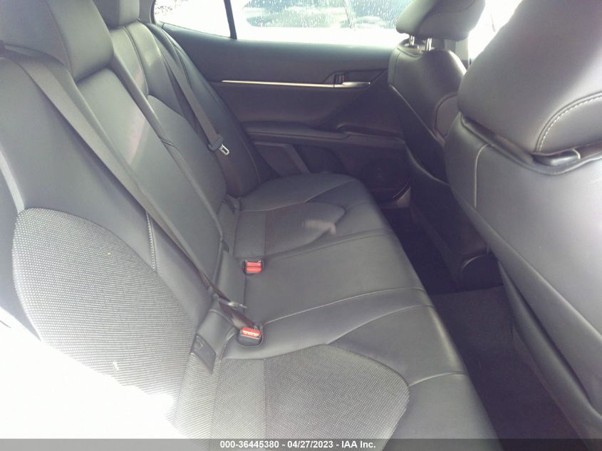 2023 TOYOTA CAMRY XLE - 4T1F11BK2PU073994
