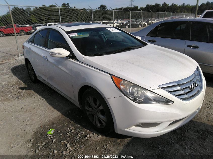 2013 HYUNDAI SONATA LIMITED - 5NPEC4AC1DH588030