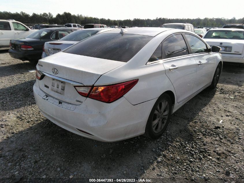 2013 HYUNDAI SONATA LIMITED - 5NPEC4AC1DH588030